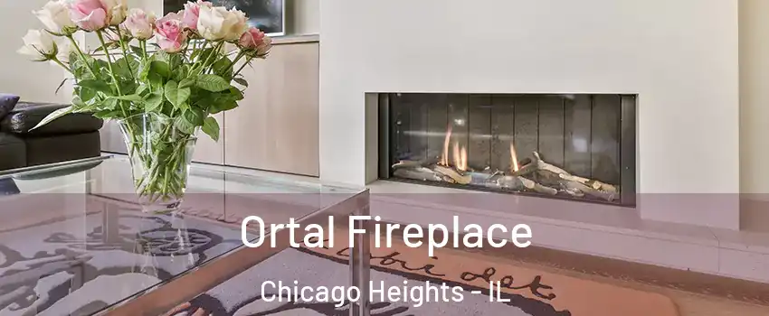  Ortal Fireplace Chicago Heights - IL